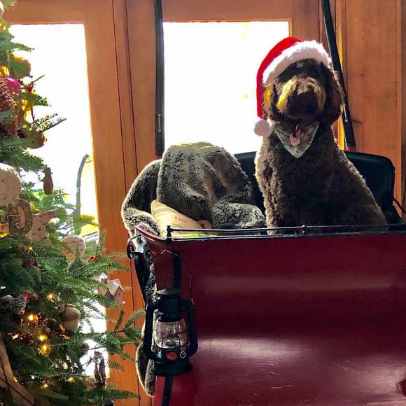 Meet your Posher, Lisa - Picture 1 of 1